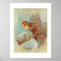 Robin redbreast print