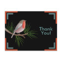 Robin Redbreast Thank You Postcard by zazzleproducts1 Robin Redbreast Thank You Postcard