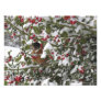 robin sheltering in a holly tree after a snow