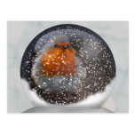Robin Snowglobe Postcard
