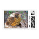 robin stamp