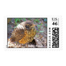 robin stamp by KatAnnette robin stamp