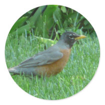 robin round stickers