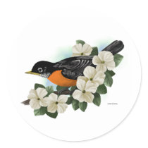 Robin Stickers