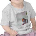 Robin T Shirt