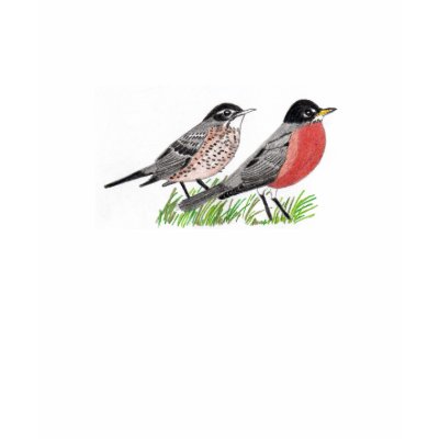 Robin T-Shirt for Kids by Songbirds