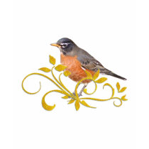 Robin t-shirts by TLArnold Robin t-shirts