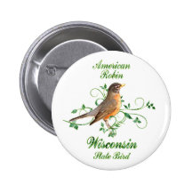 Robin Wisconsin State Bird Pins
