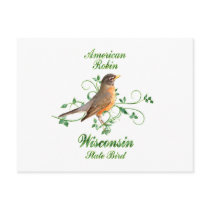 Robin Wisconsin State Bird Post Card