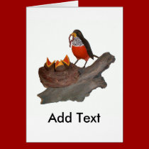 Robin With Babies cards