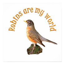 Robins are my World posters by TLArnold Robins are my World posters
