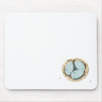 robins egg mousepad