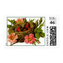 Robins in a Nest postage