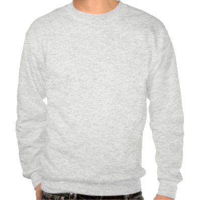 robo armadillo pullover sweatshirt