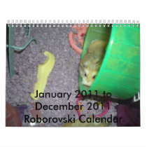 Roborovski 2011 calendar by robohamstar Roborovski 2011 calendar