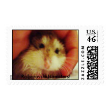 Roborovski Hamster Stamps