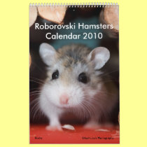 Roborovski Hamsters Calendar 2010 by roborovskihamsters Roborovski Hamsters Calendar 2010