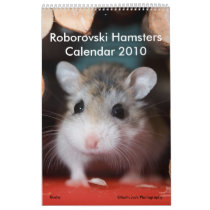 Roborovski Hamsters Calendar 2010 by roborovskihamsters Roborovski Hamsters Calendar 2010