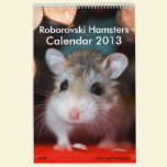 Roborovski Hamsters Calendar 2013 calendars