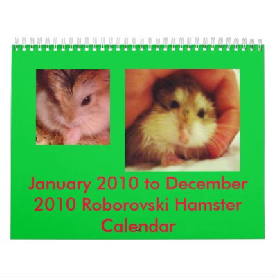 january calendar 2010. Roborovski January 2010 to