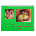 Roborovski January 2010 to December 2010 calendar by robohamstar Roborovski January 2010 to December 2010 calendar