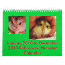 Roborovski January 2010 to December 2010 calendar