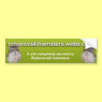 Roborovskihamsters - Bumper sticker 2 bumper stickers by roborovskihamsters Roborovskihamsters - Bumper sticker 2 bumper stickers