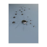 Robot Spiders Postcard