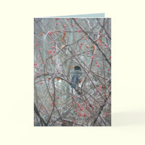 Robyn in Winter cards by MoiraAshleigh Robyn in Winter cards