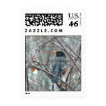 Robyn in Winter postage