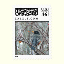 Robyn in Winter postage