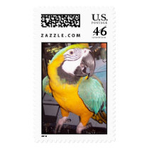 Rocco postage