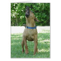 Rocco - Rye Ruv Roo! Card