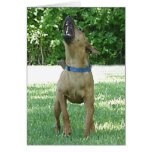 Rocco - Rye Ruv Roo! Card