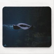 Rochen mousepads