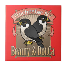 Rochester Beauty & Dot.Ca Ceramic Tile