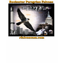 Rochester Peregrine Falcons t-shirts by rfalconcam Rochester Peregrine Falcons t-shirts