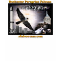 Rochester Peregrine Falcons t-shirts