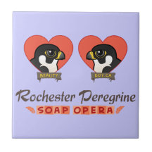 Rochester Peregrine Soap Opera Tiles