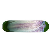 Rocío de la mañana en la flor blanca púrpura en pa patín personalizado
