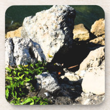 Rock abstract with green plant painterly coasters