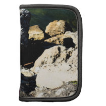 Rock abstract with green plant painterly planners