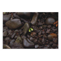 ROCK AND LEAF - stationery