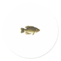Rock Bass stickers