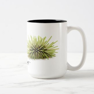 Rock-boring Sea Urchin, Echinometra mathaei Two-Tone Coffee Mug