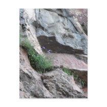 Rock Bound Post Card