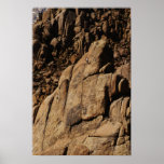 Rock Climb - Alabama Hills Poster
