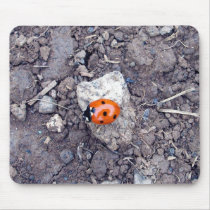 Rock Climber Ladybug Mousepad