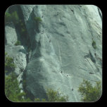 Rock Climbers on El Capitan Sticker