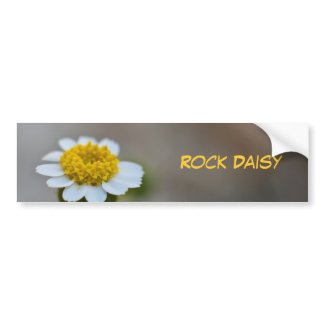 Rock Daisy Bumper Stickers